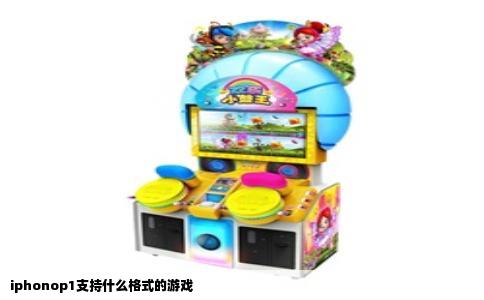 iphonop1支持什么格式的游戏