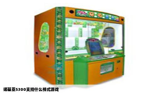 诺基亚5300支持什么格式游戏