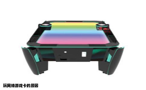 玩网络游戏卡的原因