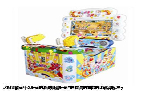 这配置能玩什么好玩的游戏啊最好是自由度高的冒险的比较流畅运行